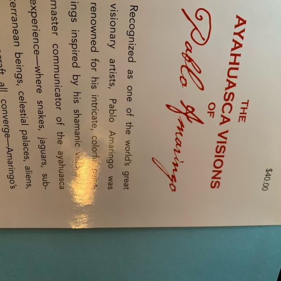 Signed art book by Pablo Armaringo - Picture 3 of 4